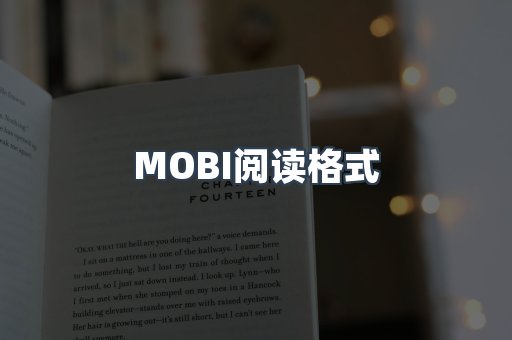 外文电子书系列